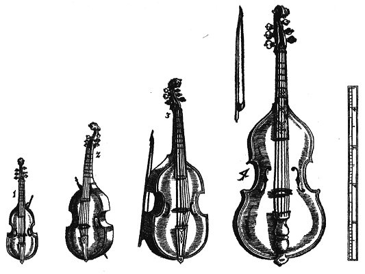 Different sizes of viola da gamba