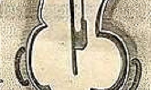 Two viols