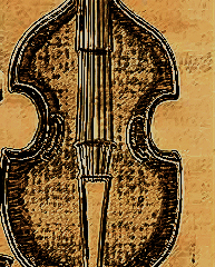 Viol detail